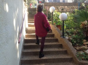 סוודר- elonora amadei תוצרת איטליה